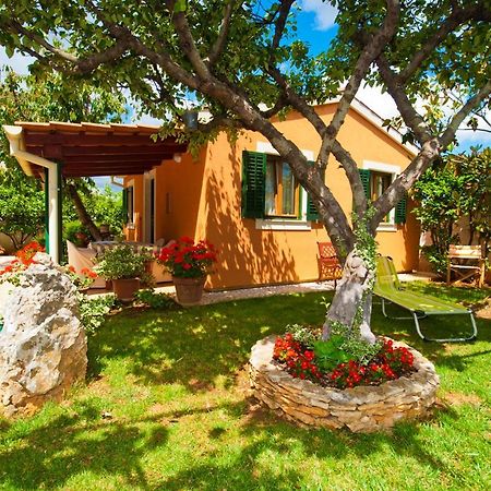 Guest house Bizjak Vinkuran Exteriér fotografie