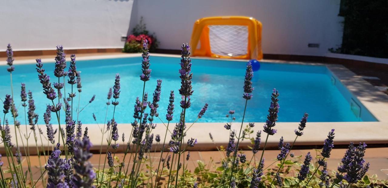 Guest house Bizjak Vinkuran Exteriér fotografie