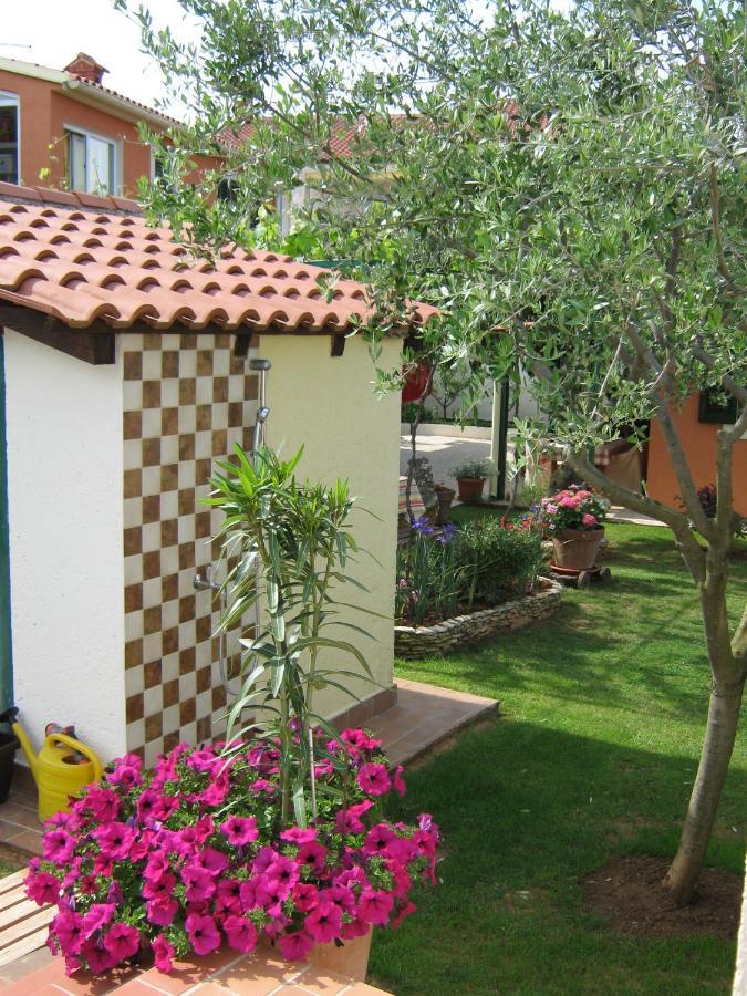 Guest house Bizjak Vinkuran Exteriér fotografie