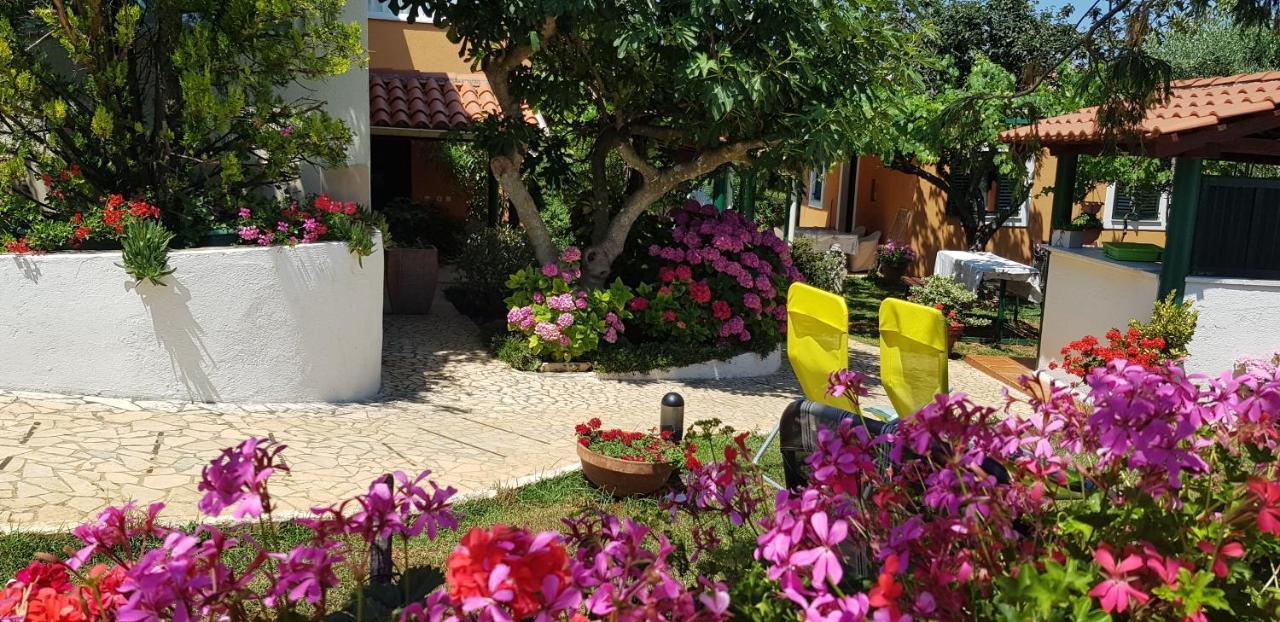 Guest house Bizjak Vinkuran Exteriér fotografie