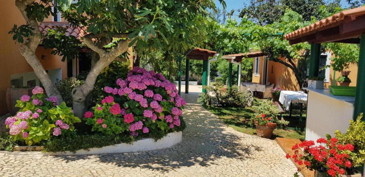 Guest house Bizjak Vinkuran Exteriér fotografie