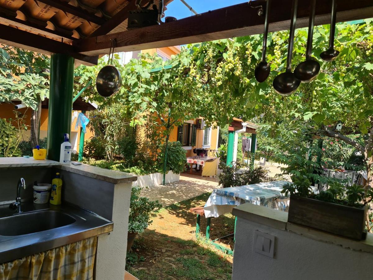 Guest house Bizjak Vinkuran Exteriér fotografie
