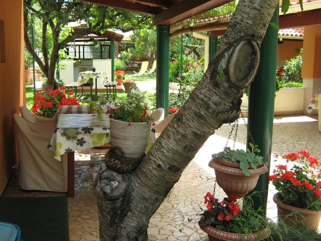Guest house Bizjak Vinkuran Exteriér fotografie