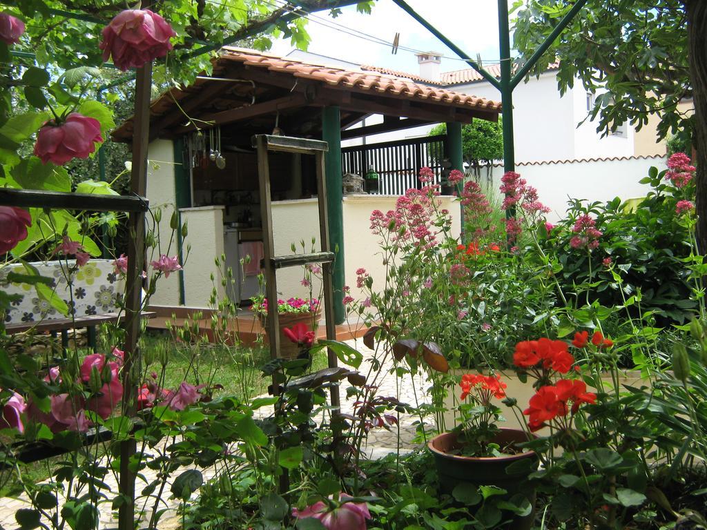 Guest house Bizjak Vinkuran Exteriér fotografie